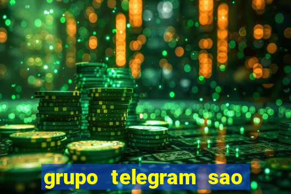 grupo telegram sao jose do rio preto